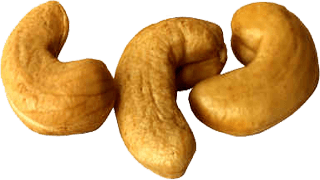 Giftiga cashewnötter